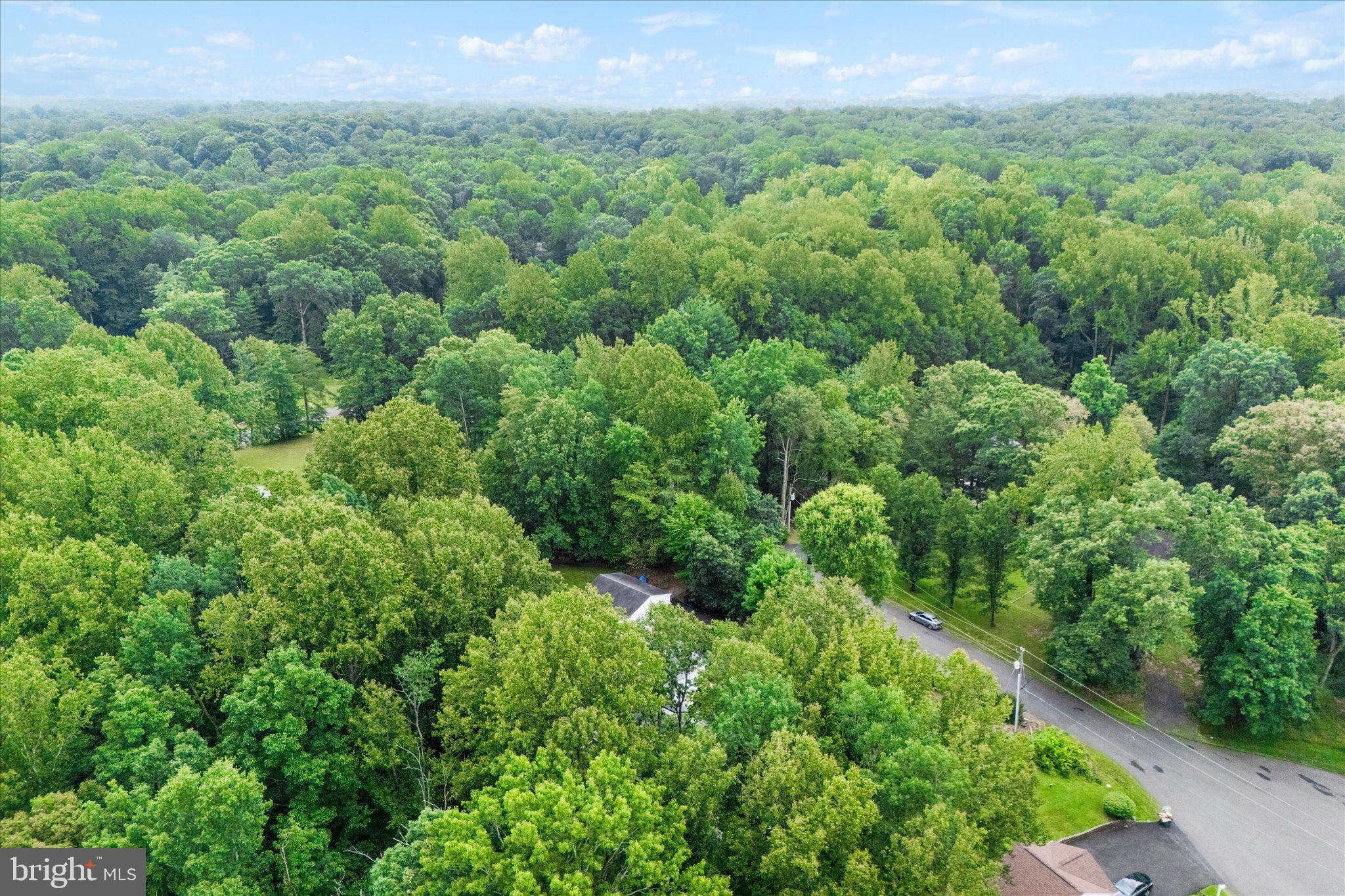 LAUREL RIDGE - Residential