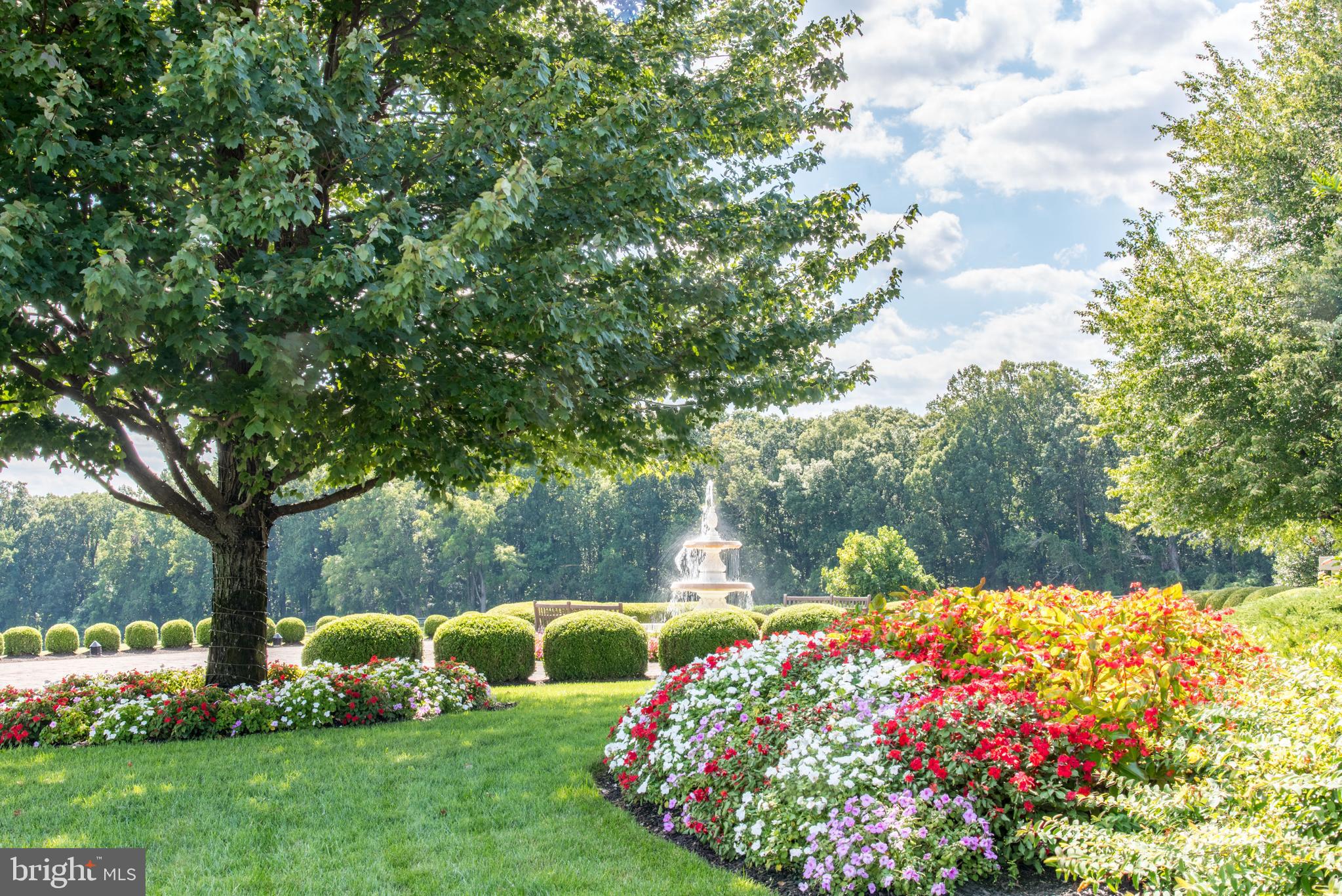 BELFAST VALLEY - Farm