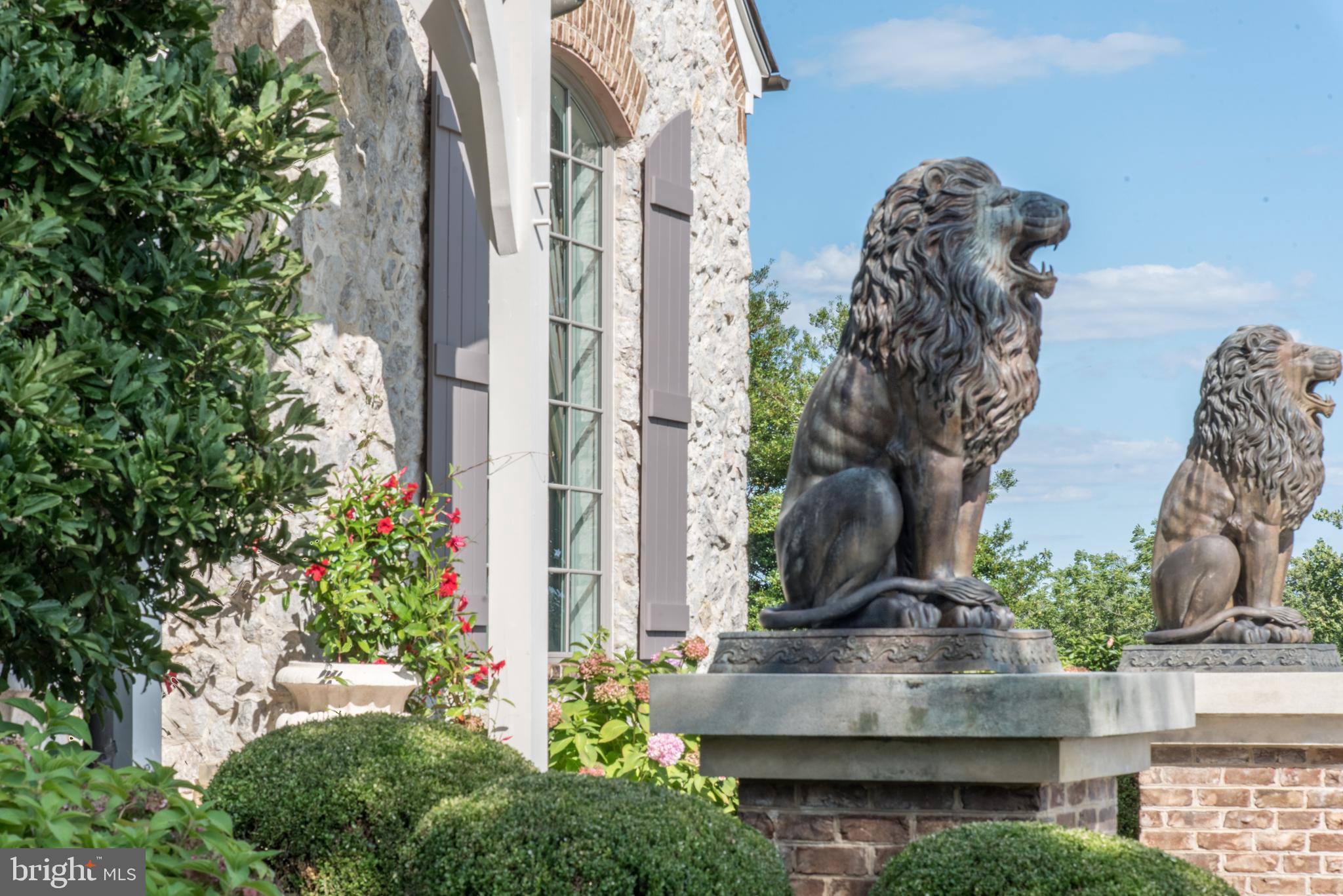 BELFAST VALLEY - Farm