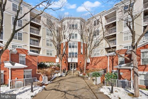 1625 INTERNATIONAL DRIVE 305 MCLEAN VA 22102