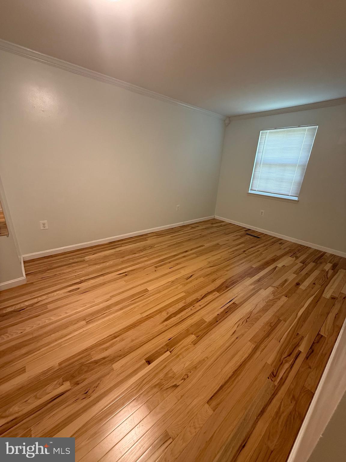 28 OAK SHADOWS
