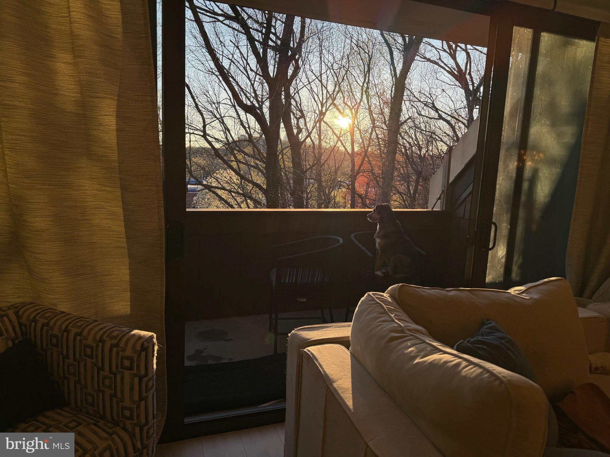 CONCORD MEWS - Residential