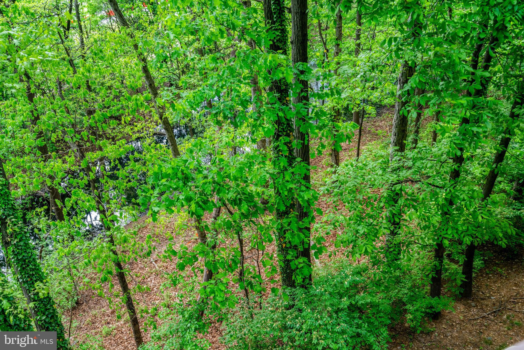 CONCORD MEWS - Residential