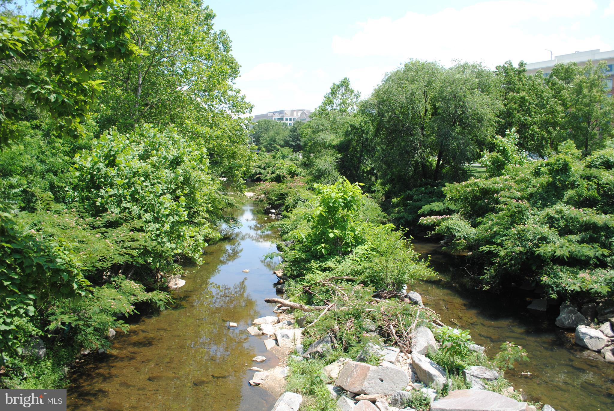 CONCORD MEWS - Residential