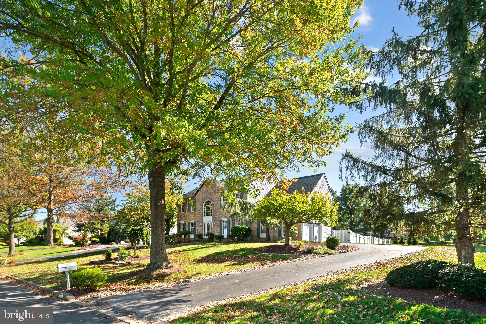 123 ORTHODOX DRIVE