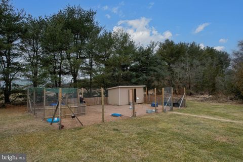 listing image 118