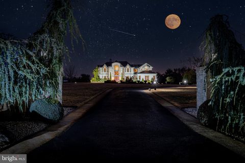 listing image 115