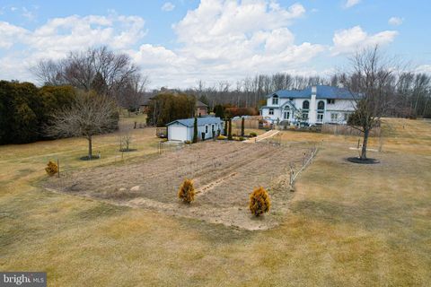 listing image 36