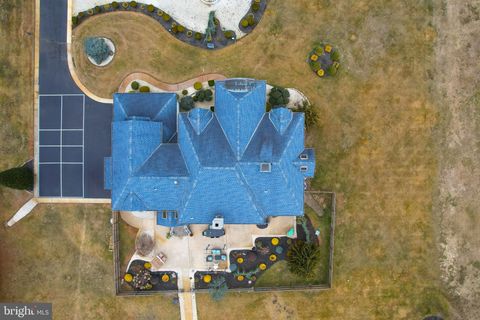 listing image 42