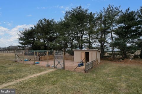listing image 117