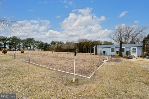 listing image 113