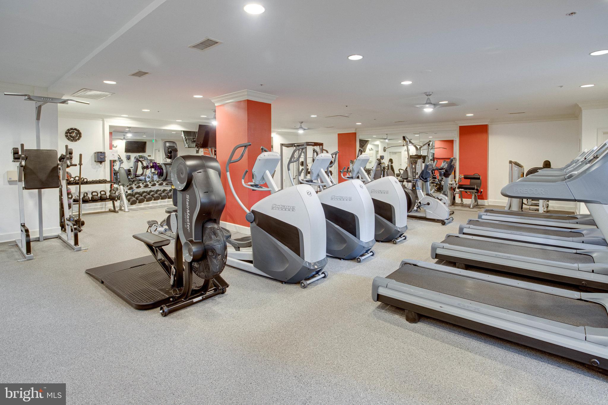 HALSTEAD AT THE METRO II - Residential Lease