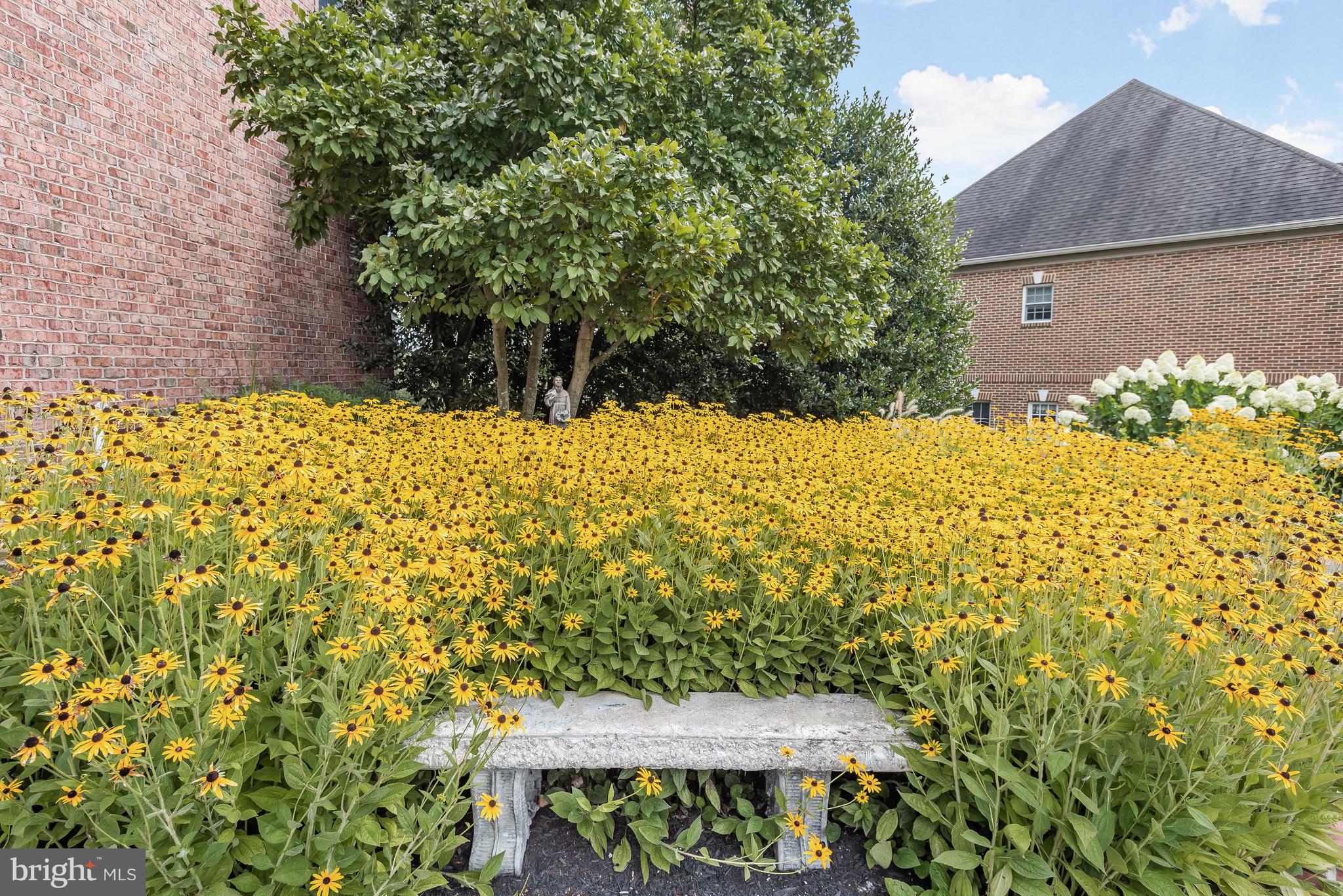 CATTAIL CREEK - Residential