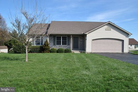 135 TORREY PINES DRIVE MT WOLF PA 17347