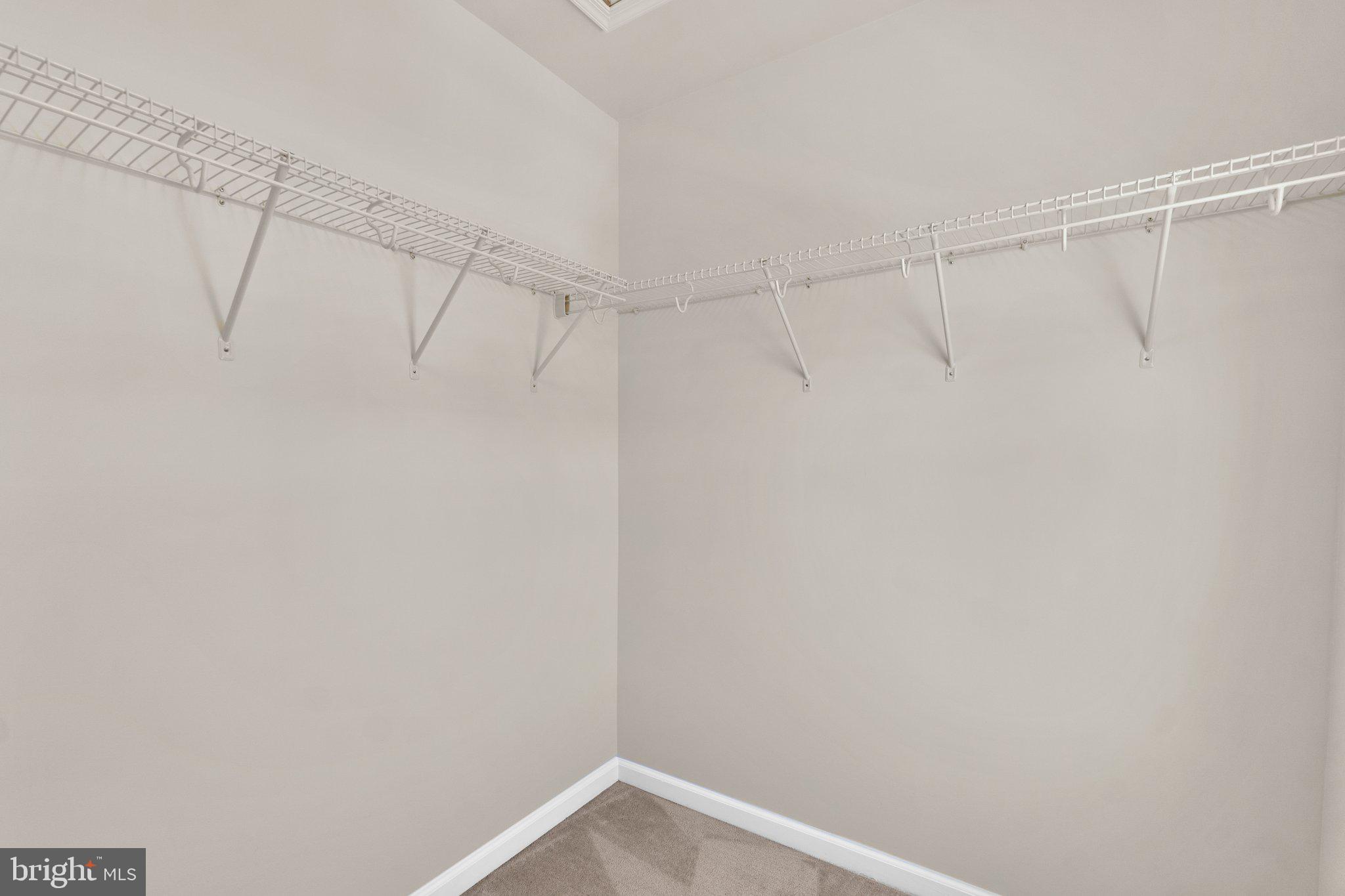 BLUE STREAM - Residential Lease