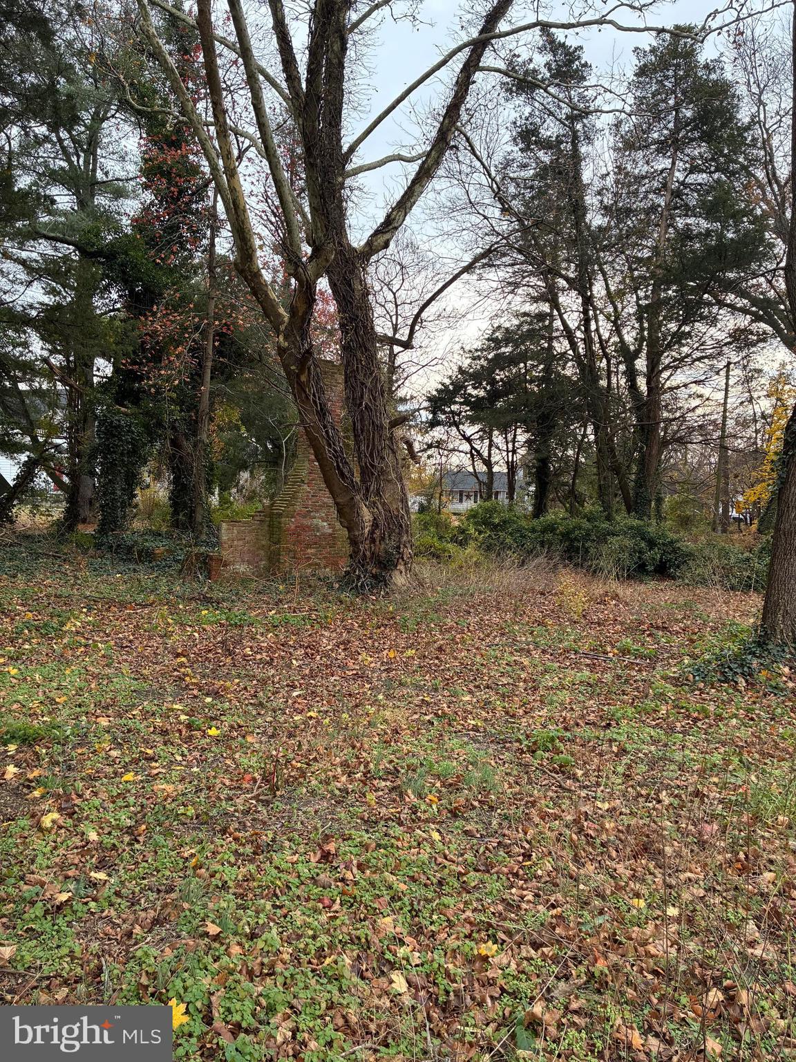 3485 HARDING HIGHWAY