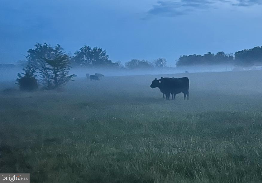 NONE AVAILABLE - Land