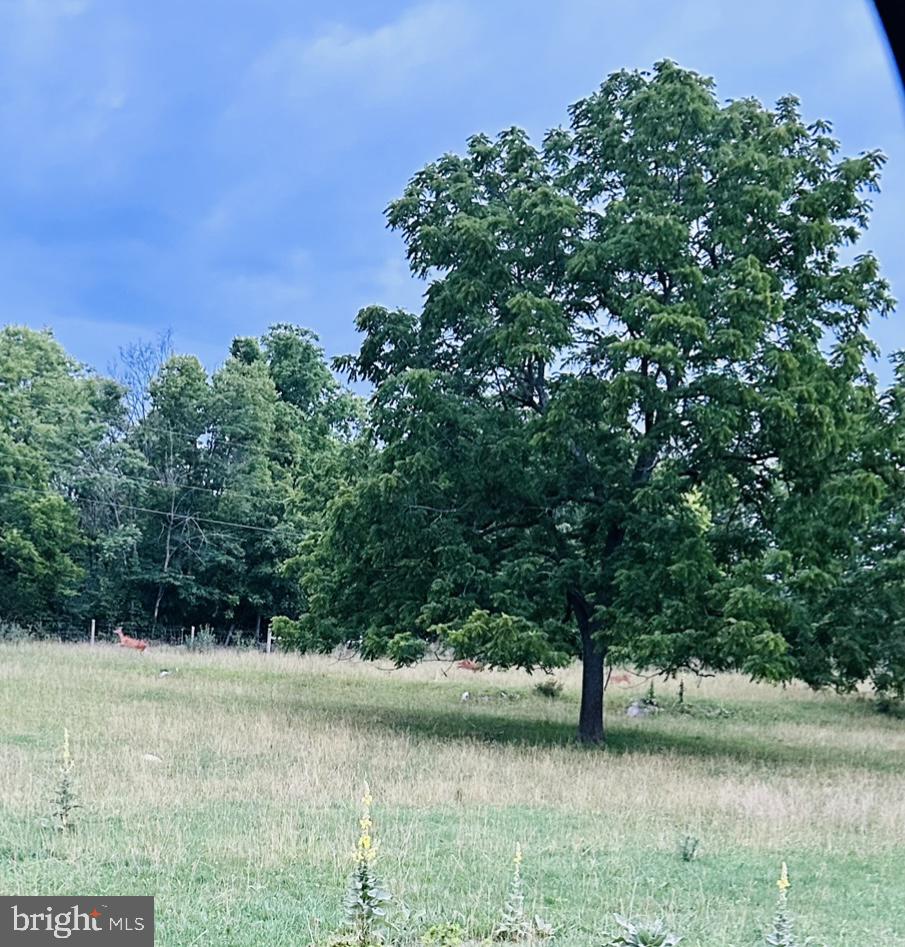 NONE AVAILABLE - Land