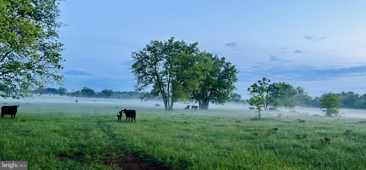 NONE AVAILABLE - Land