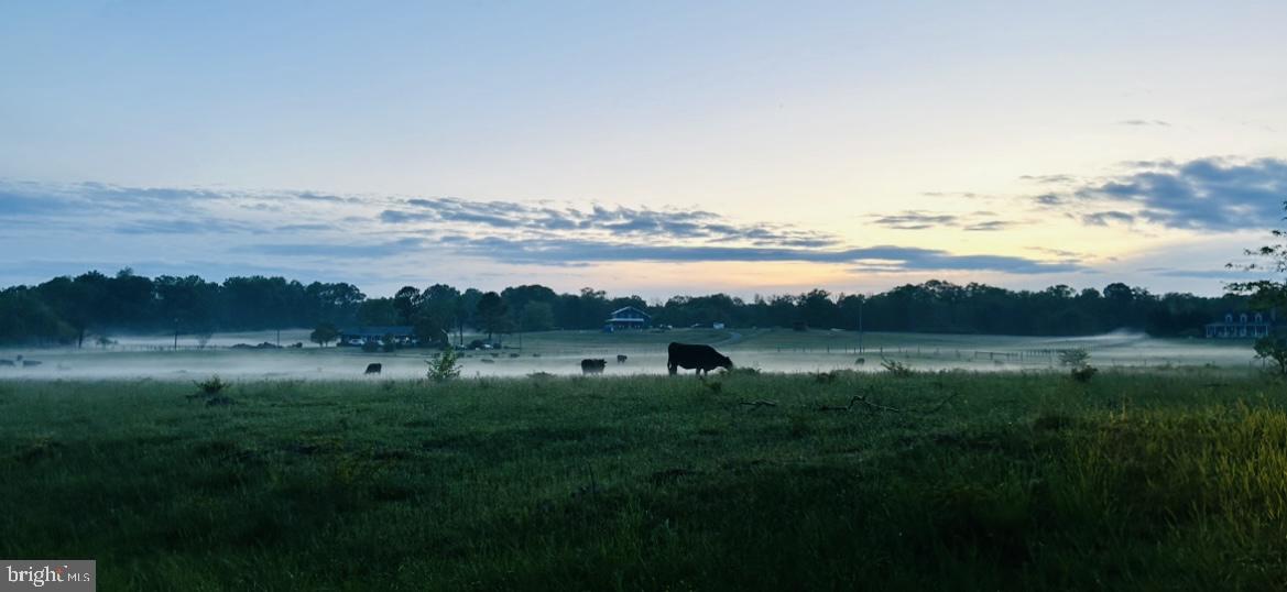 NONE AVAILABLE - Land