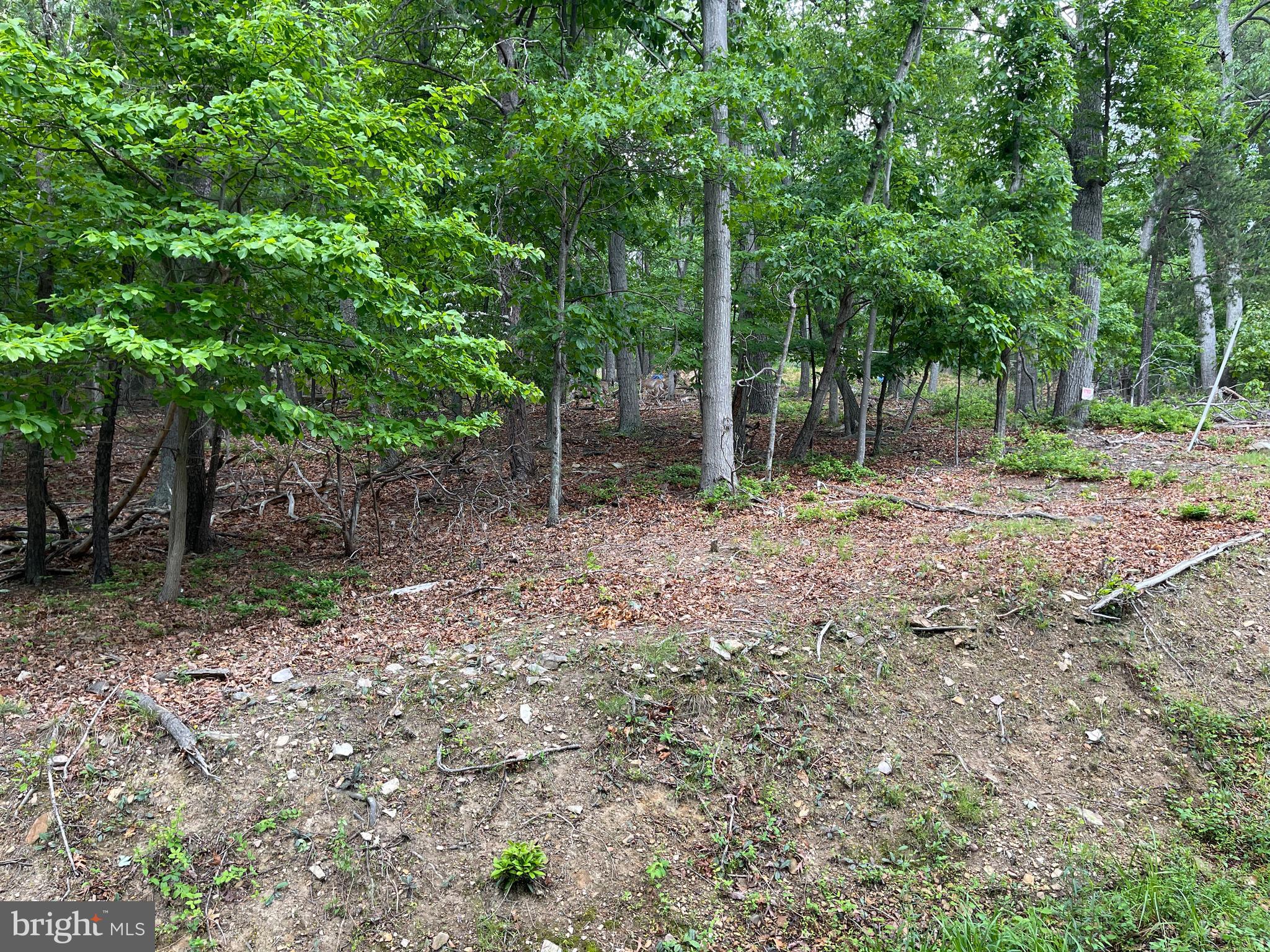 BULL RUN MOUNTAIN - Land