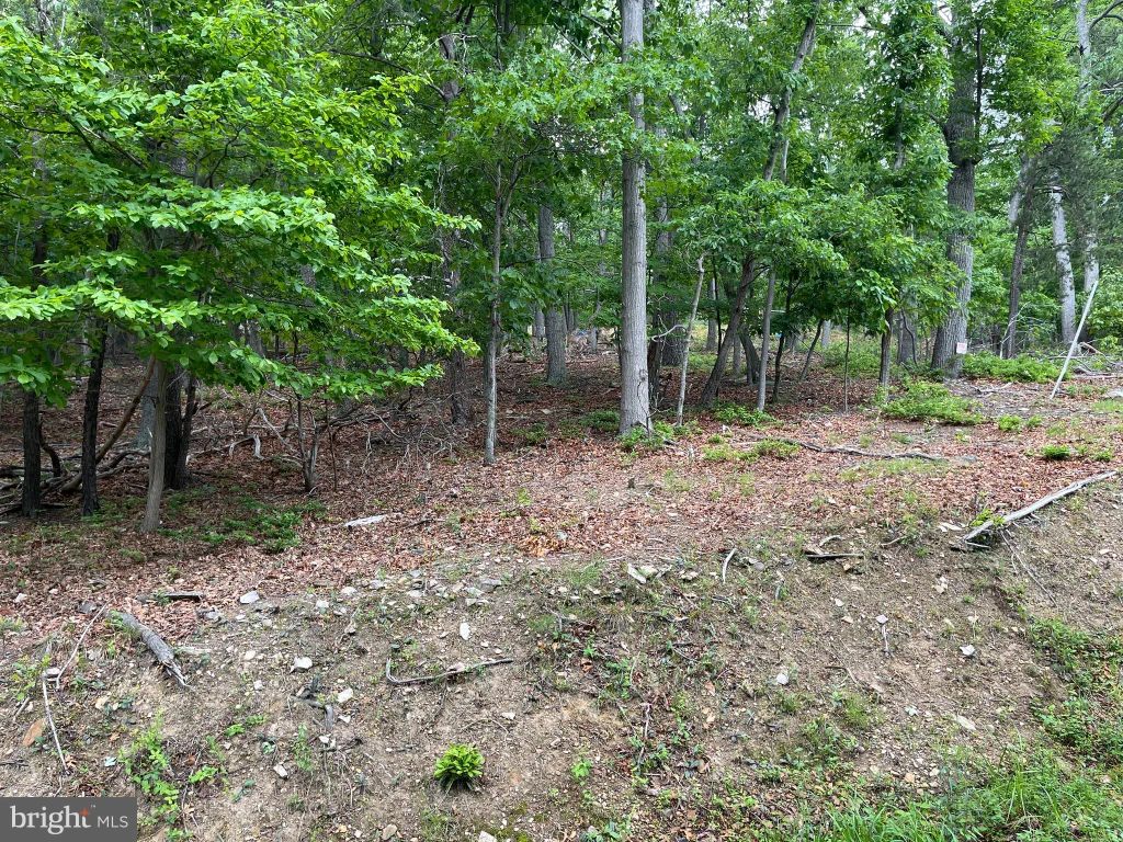 Additional image 9 of 16207 Sumney Drive, Haymarket, VA 20169