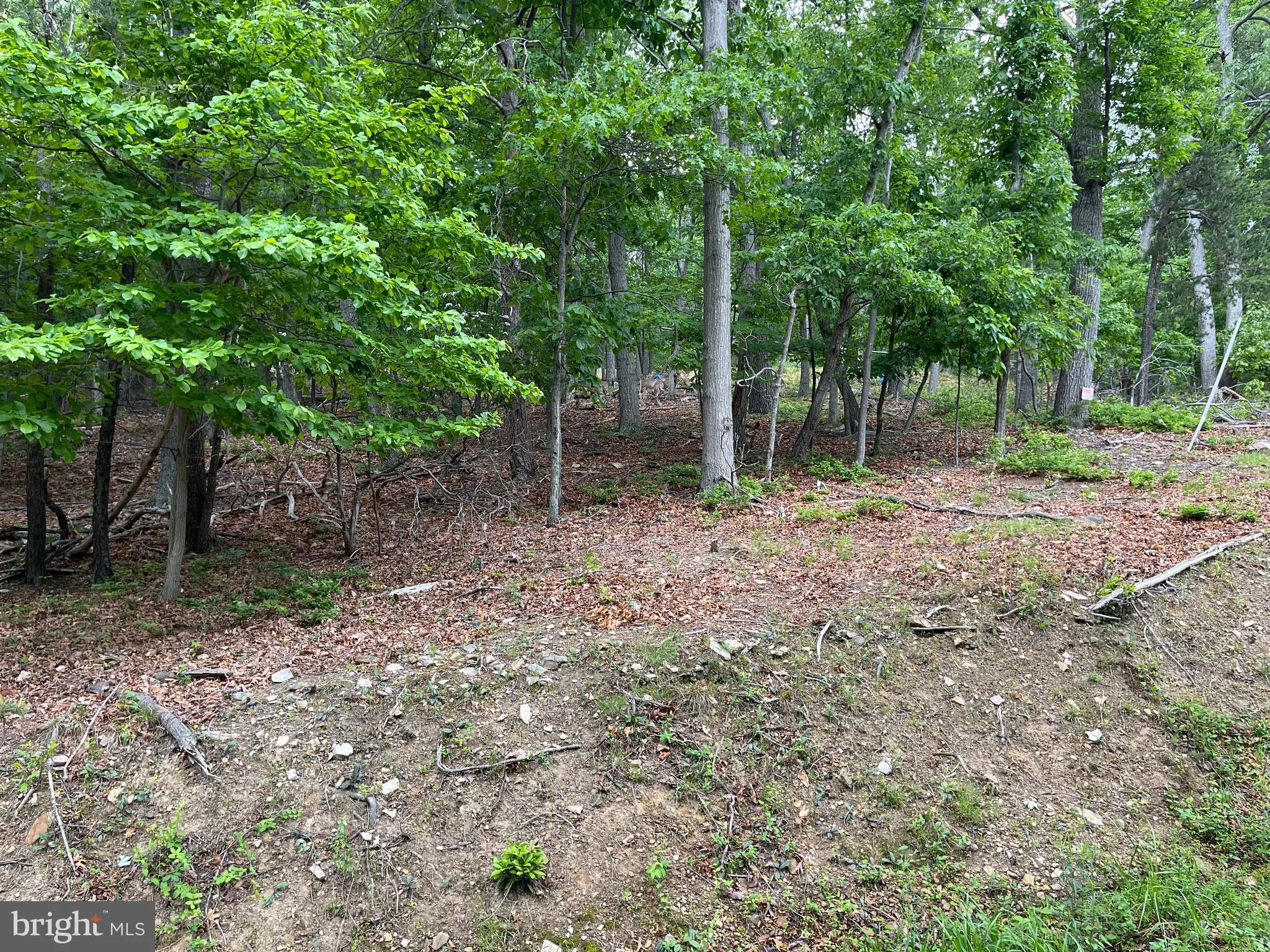 Additional image 19 of 16207 Sumney Drive, Haymarket, VA 20169