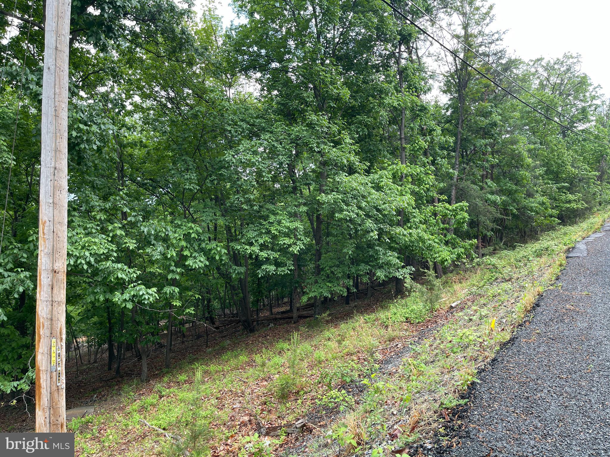 BULL RUN MOUNTAIN - Land