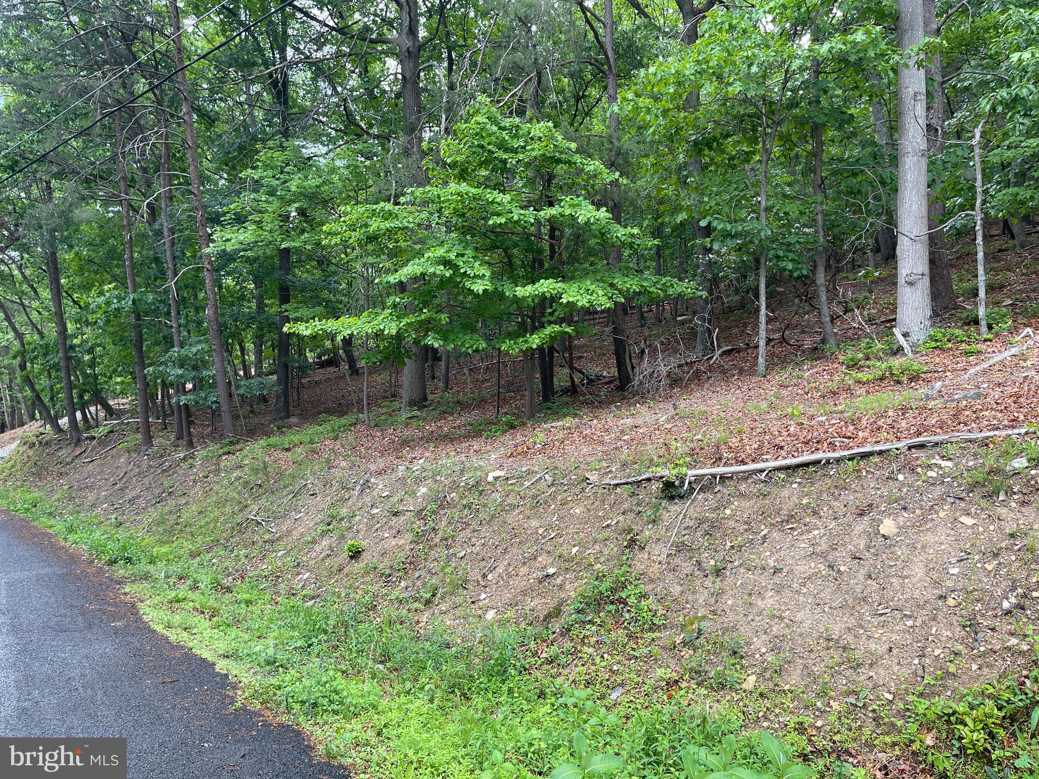 BULL RUN MOUNTAIN - Land