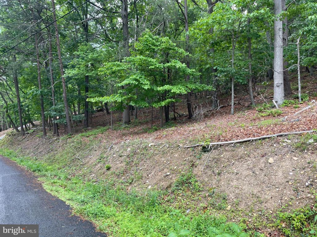 Additional image 8 of 16207 Sumney Drive, Haymarket, VA 20169