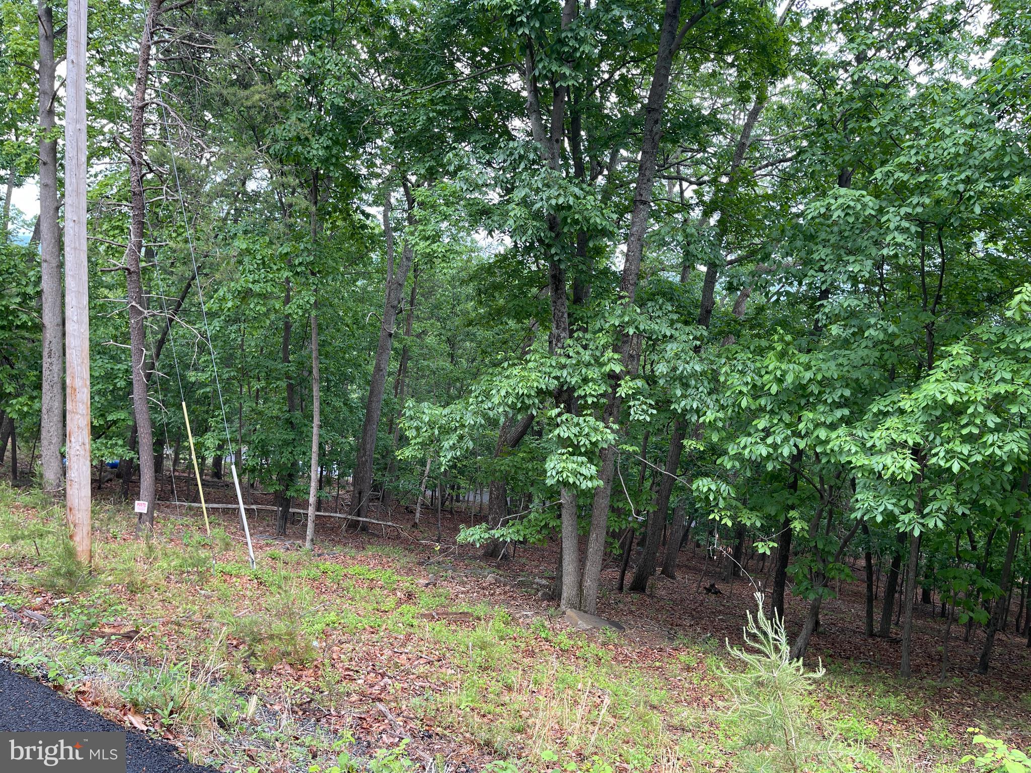 BULL RUN MOUNTAIN - Land