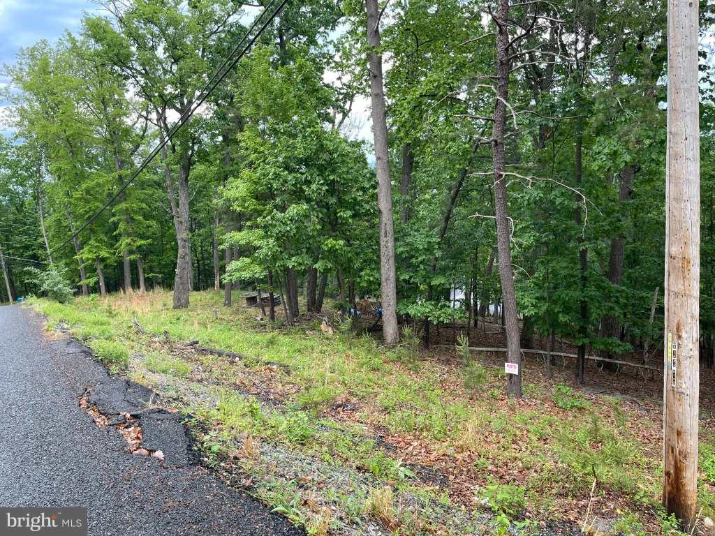Additional image 5 of 16207 Sumney Drive, Haymarket, VA 20169