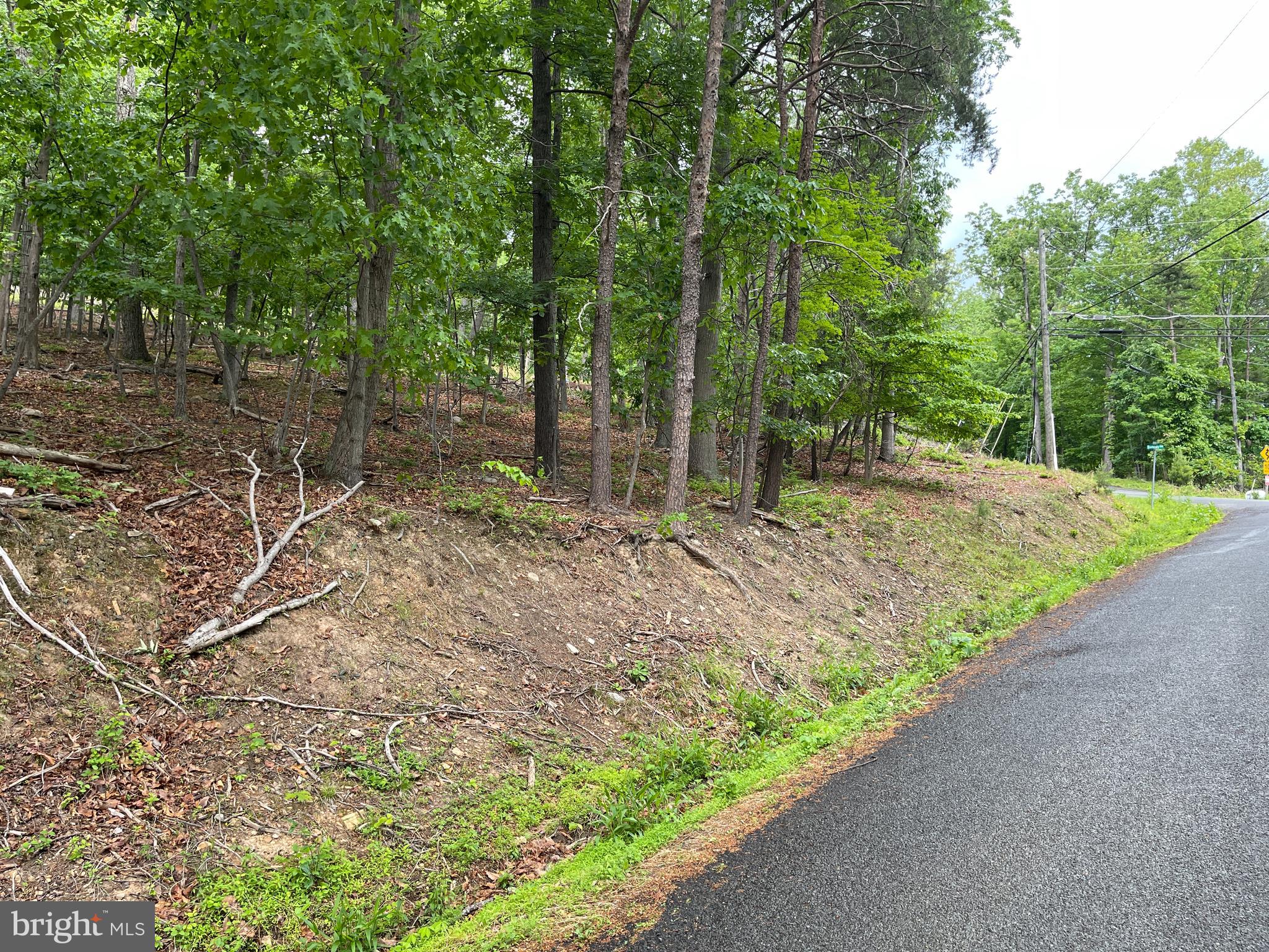 BULL RUN MOUNTAIN - Land