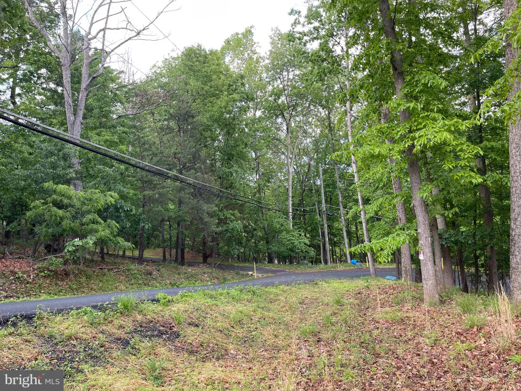 Additional image 6 of 16207 Sumney Drive, Haymarket, VA 20169