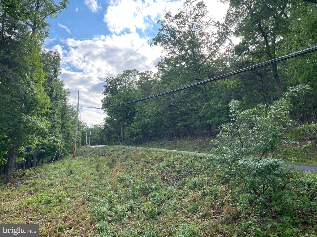 Additional image 7 of 16207 Sumney Drive, Haymarket, VA 20169