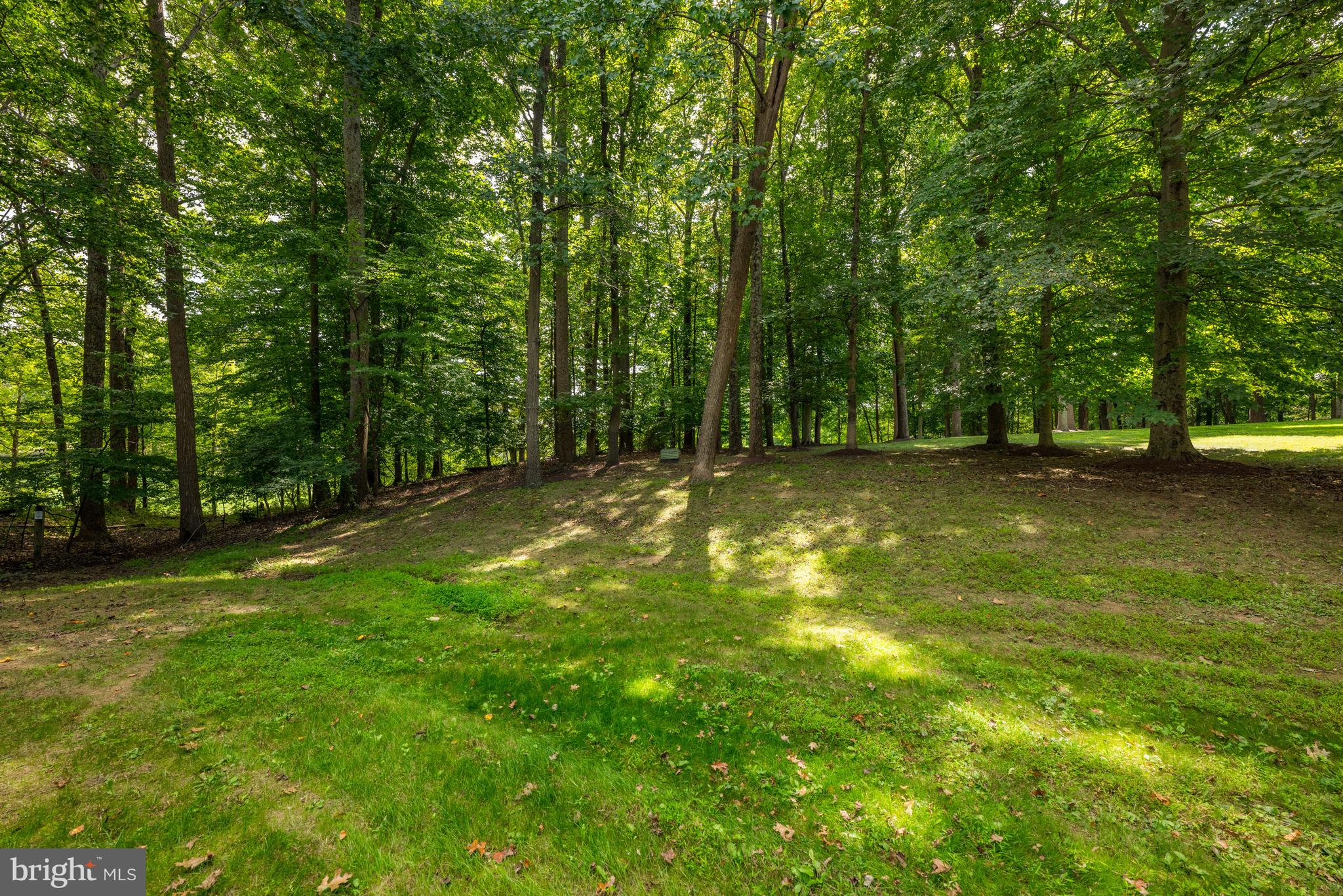 AVENEL - Residential