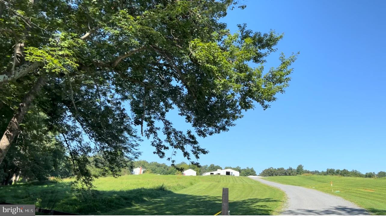 NONE AVAILABLE - Farm