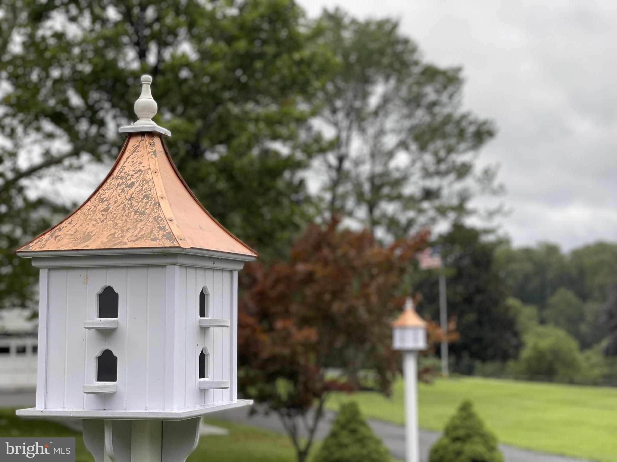 NONE AVAILABLE - Farm