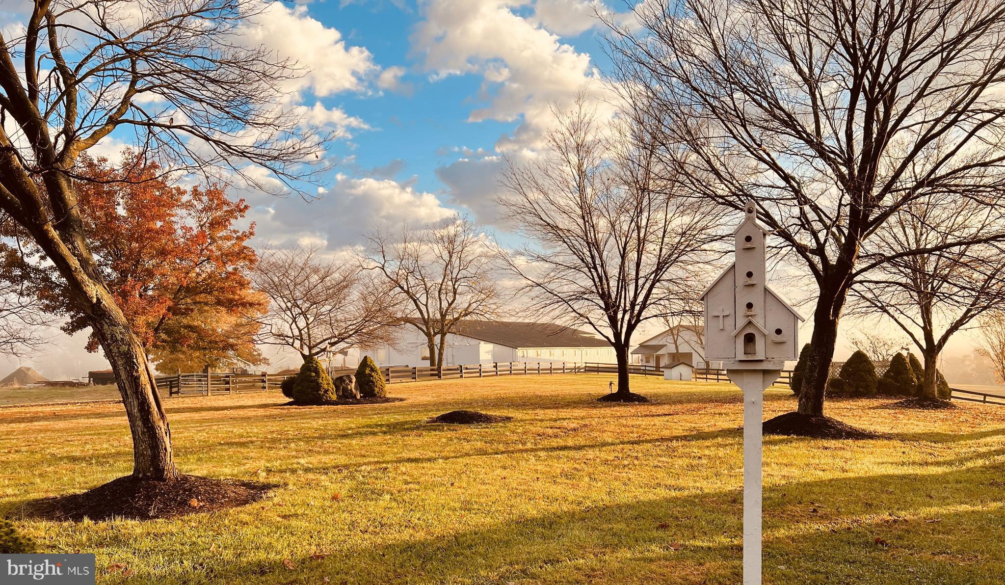 NONE AVAILABLE - Farm