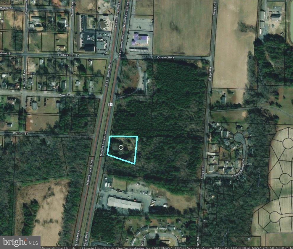 9419 Ocean Highway, Delmar, MD 21875