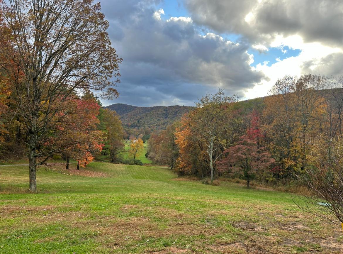 SHENANDOAH WOODLANDS - Residential