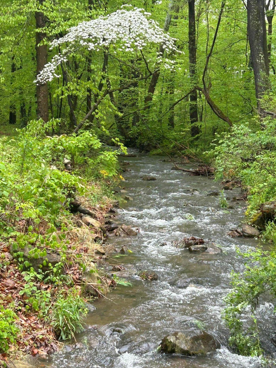 SHENANDOAH WOODLANDS - Residential