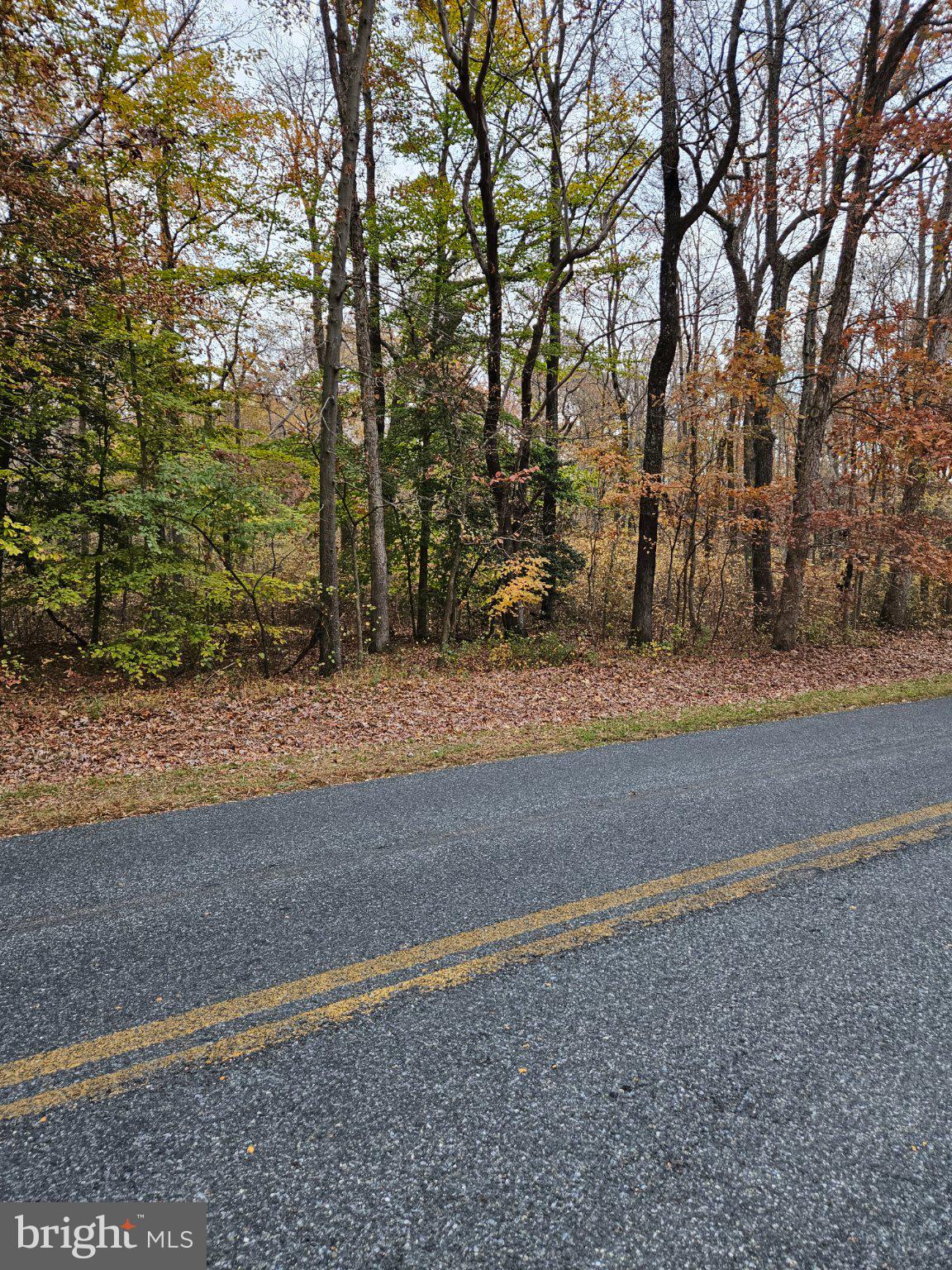 1031 PETERS CORNER ROAD