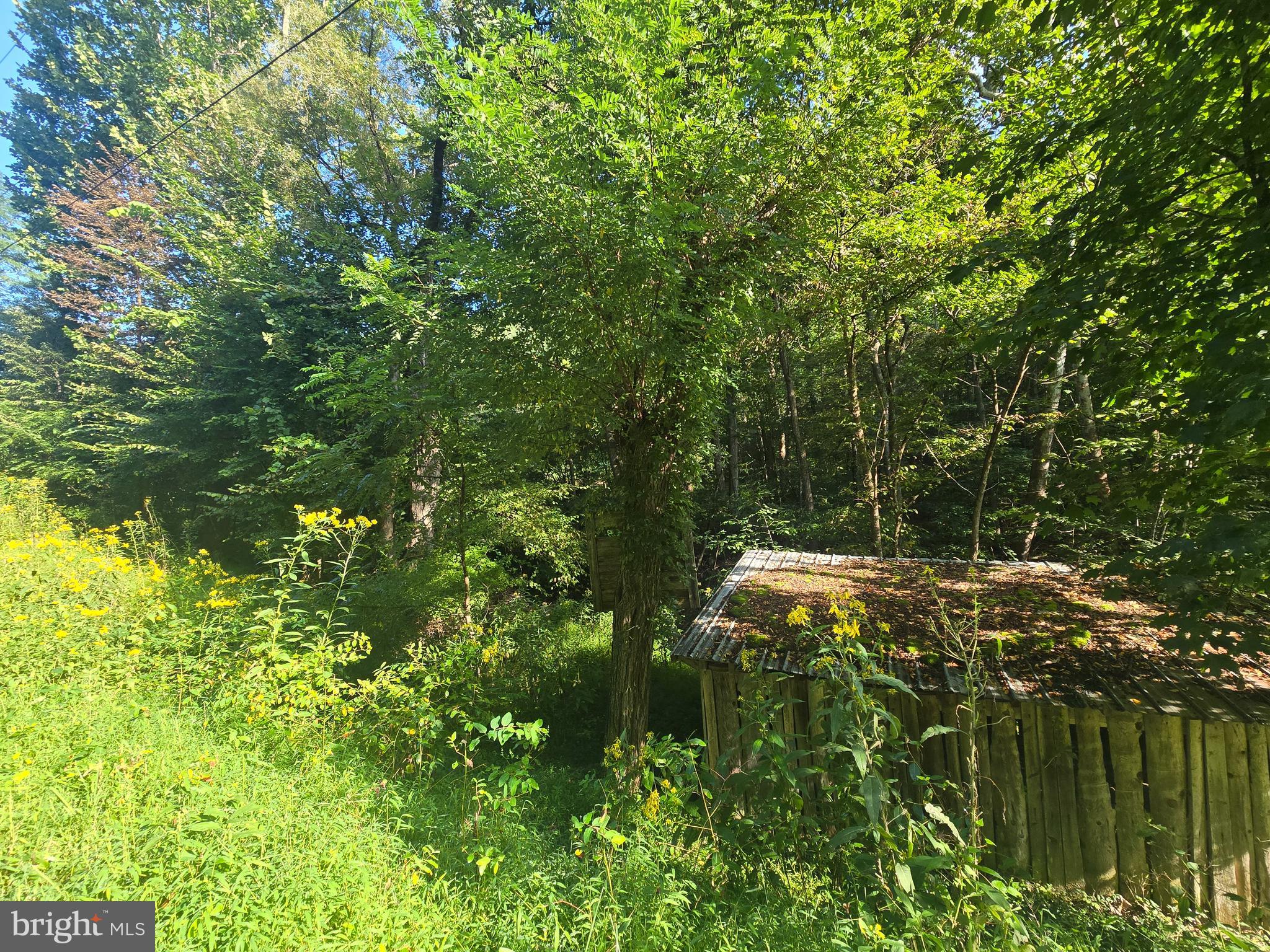 500 UPPER TIMBER RIDGE ROAD