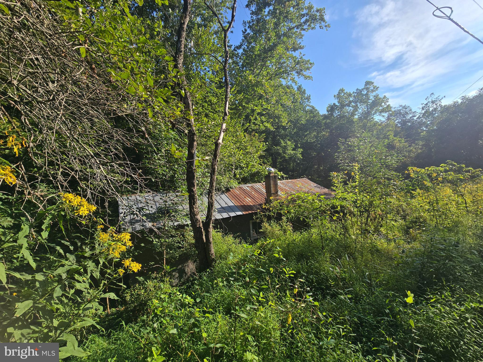 500 UPPER TIMBER RIDGE ROAD
