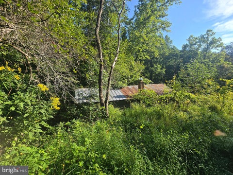 Vacant Land For Sale - 500 Upper Timber Ridge Road<br/> Pendleton County, CIRCLEVILLE, WV 26804