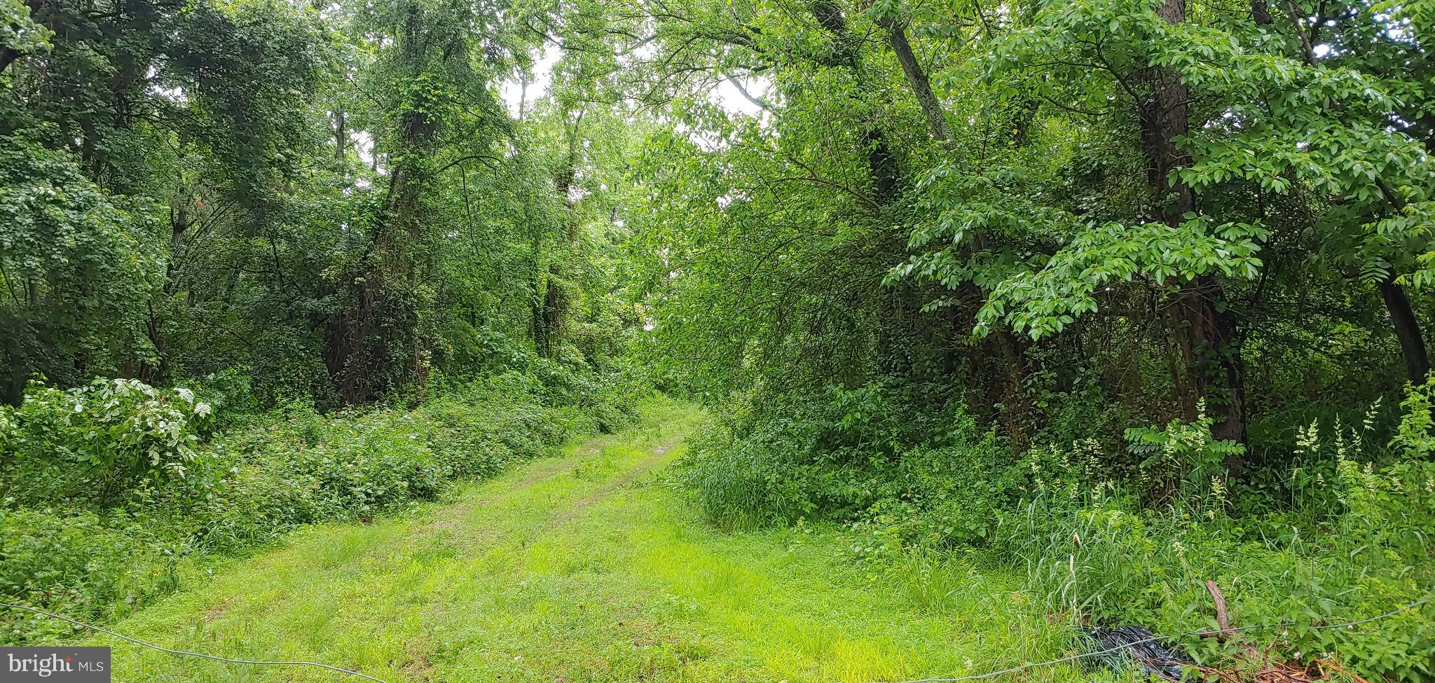 1300 JACKSONVILLE SMITHVILLE ROAD