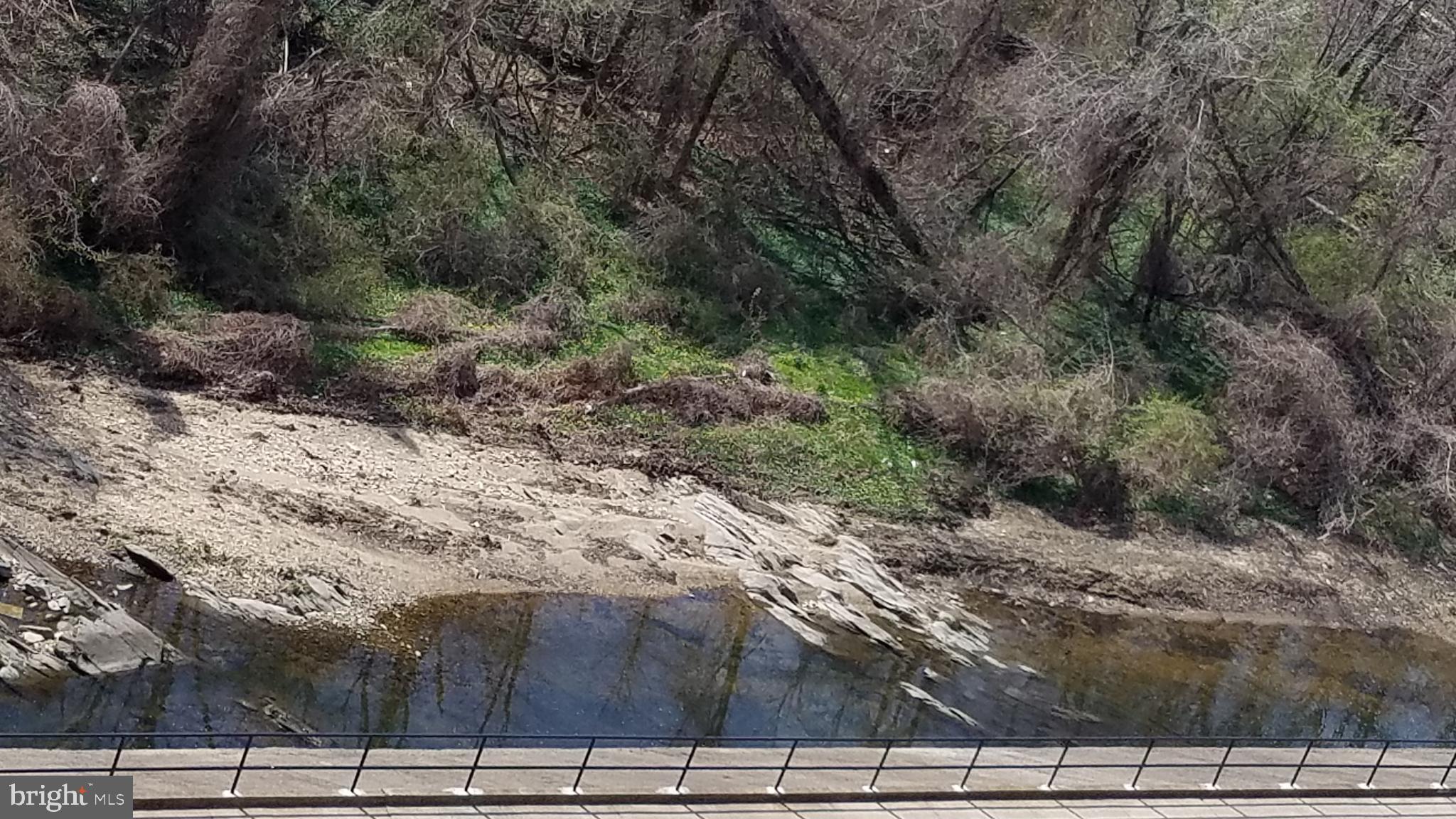 THE CARLTON - Residential Lease