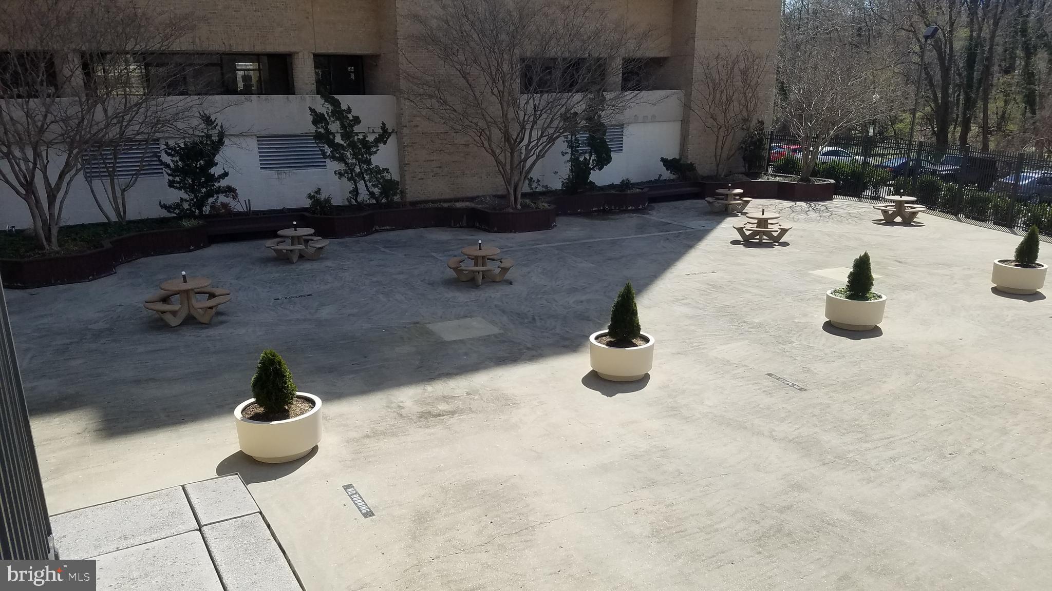 THE CARLTON - Residential Lease