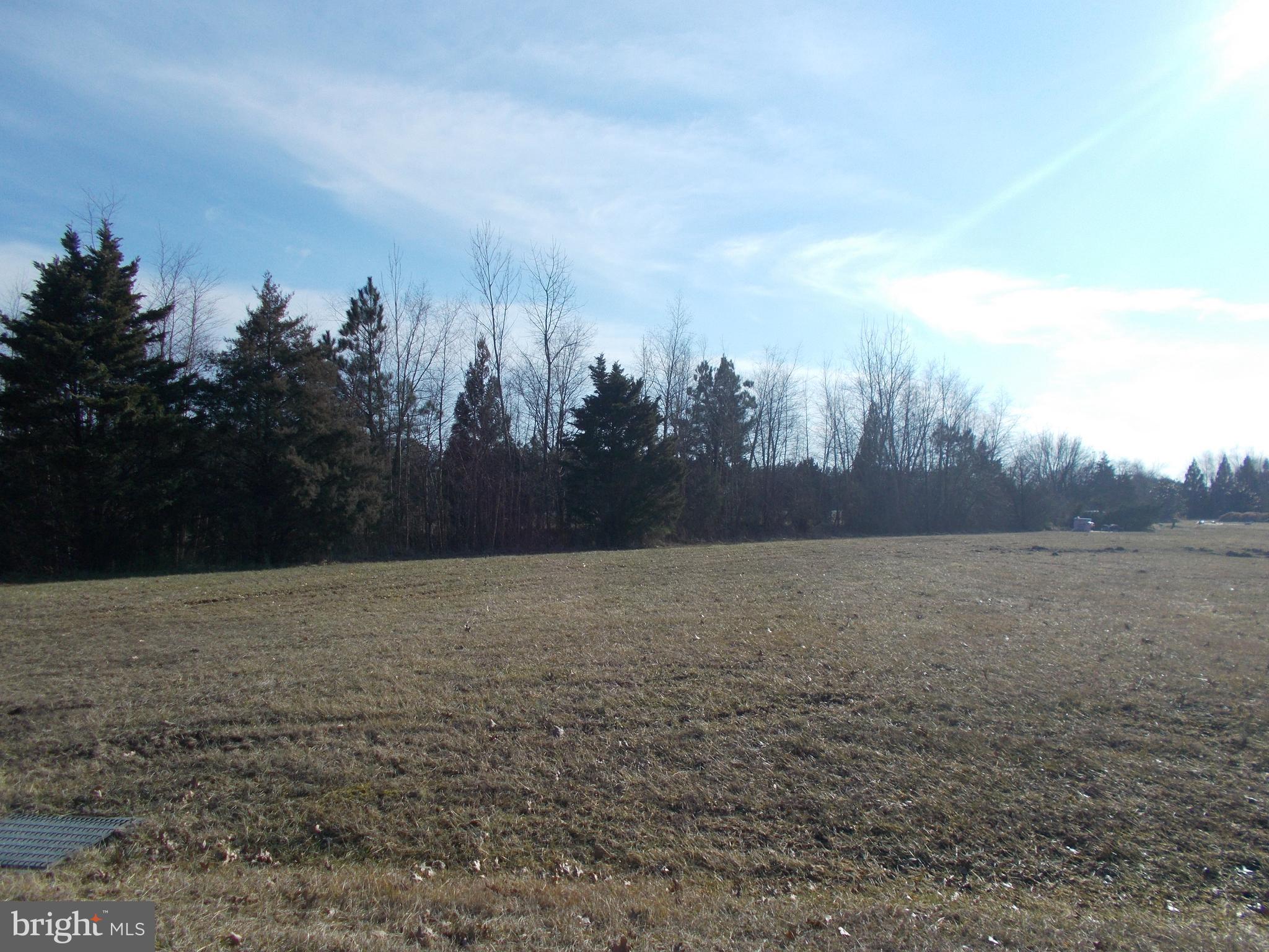 THE CROSSINGS AT EAST NEW MARKET - Land